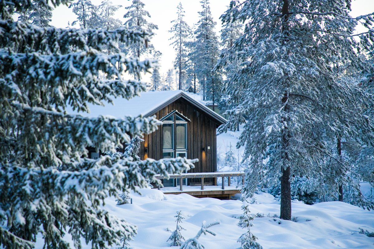 Trästuga i vinterskog med snötyngda granar runtom och mjukt morgonljus i bakgrunden.